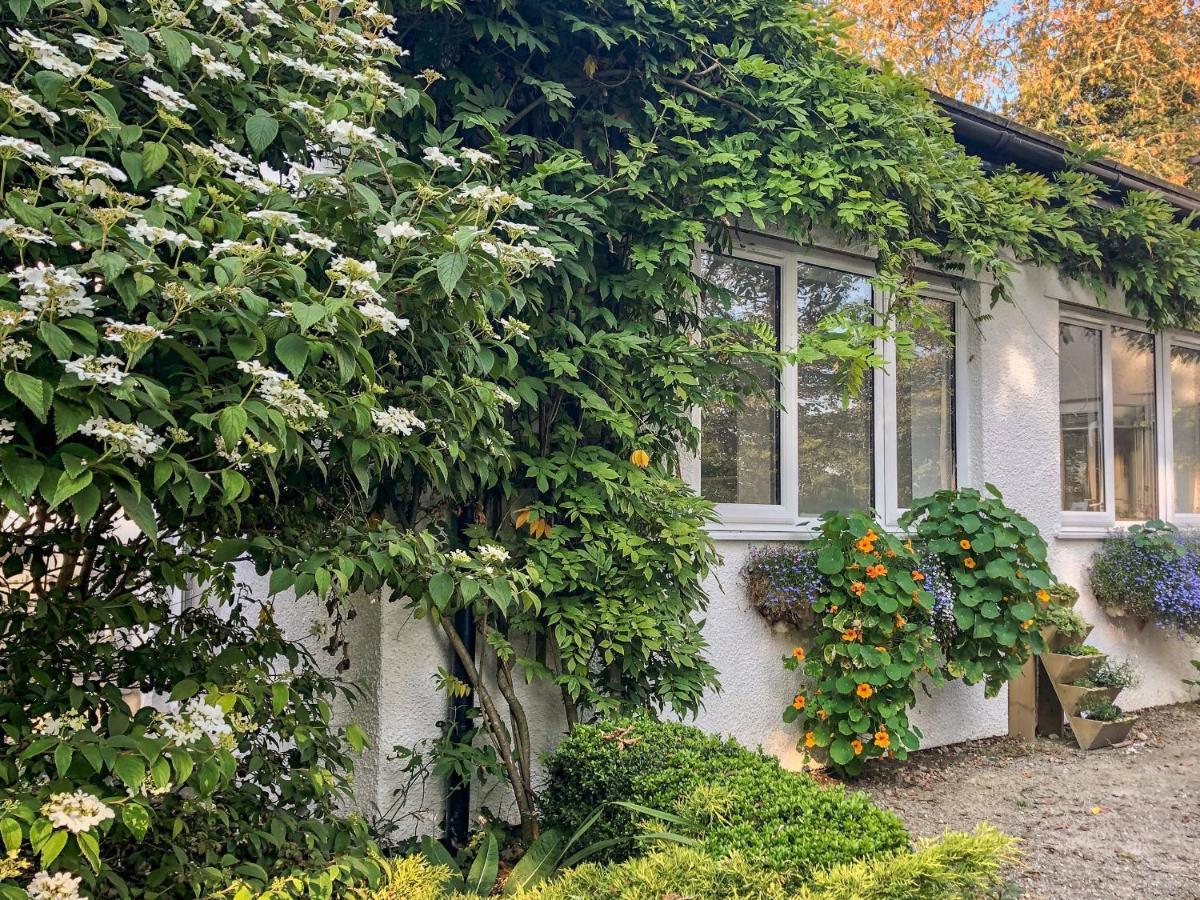 Primrose End Vila Bude Exterior foto